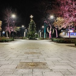 PONIDZIE - zdjęcie 207