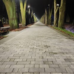 PONIDZIE - zdjęcie 212