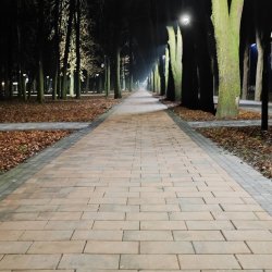 PONIDZIE - zdjęcie 213