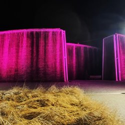 PONIDZIE - zdjęcie 218